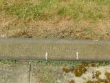 image of grave number 684005
